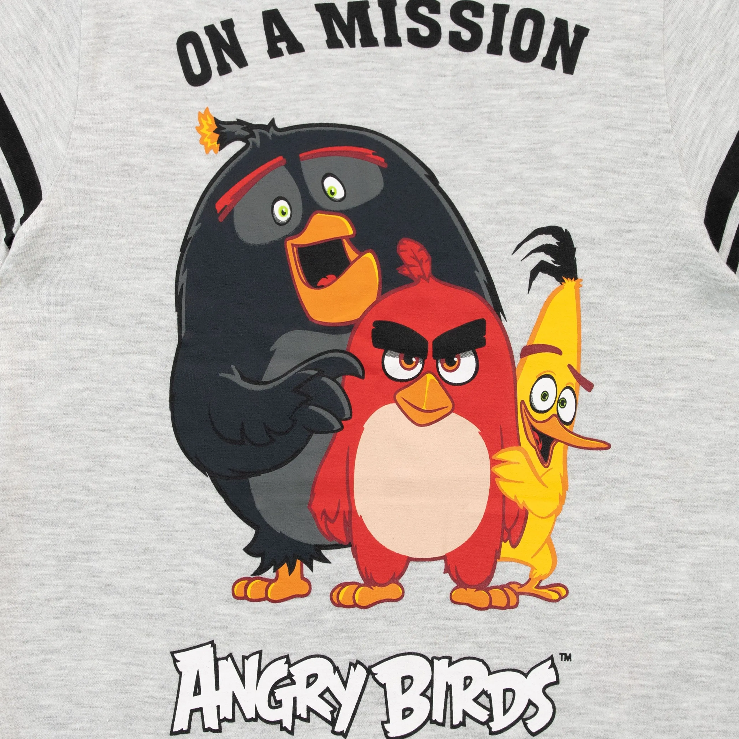 Angry Birds T-Shirt