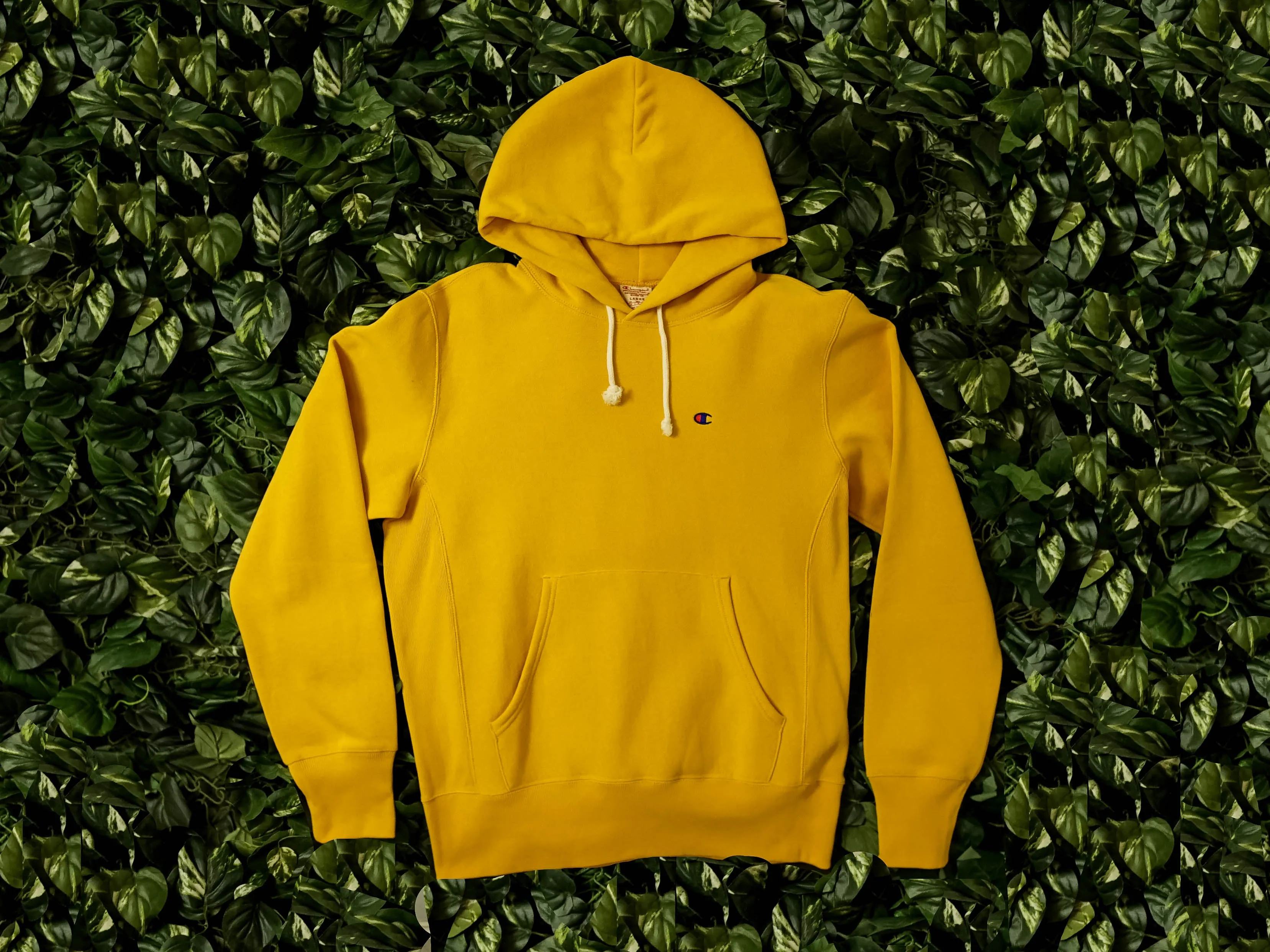 Champion EU Reverse Weave Hoodie [CEM575-BYC]