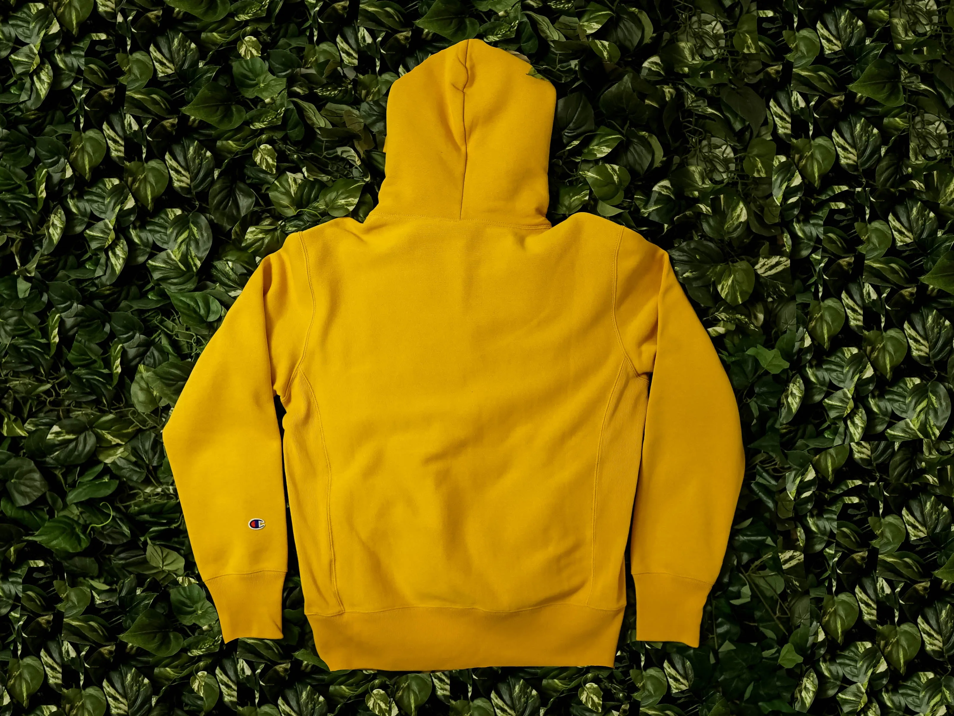 Champion EU Reverse Weave Hoodie [CEM575-BYC]