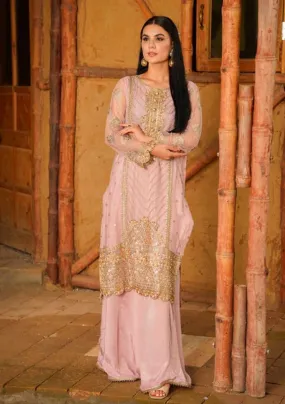 Dhanak Organza Suit