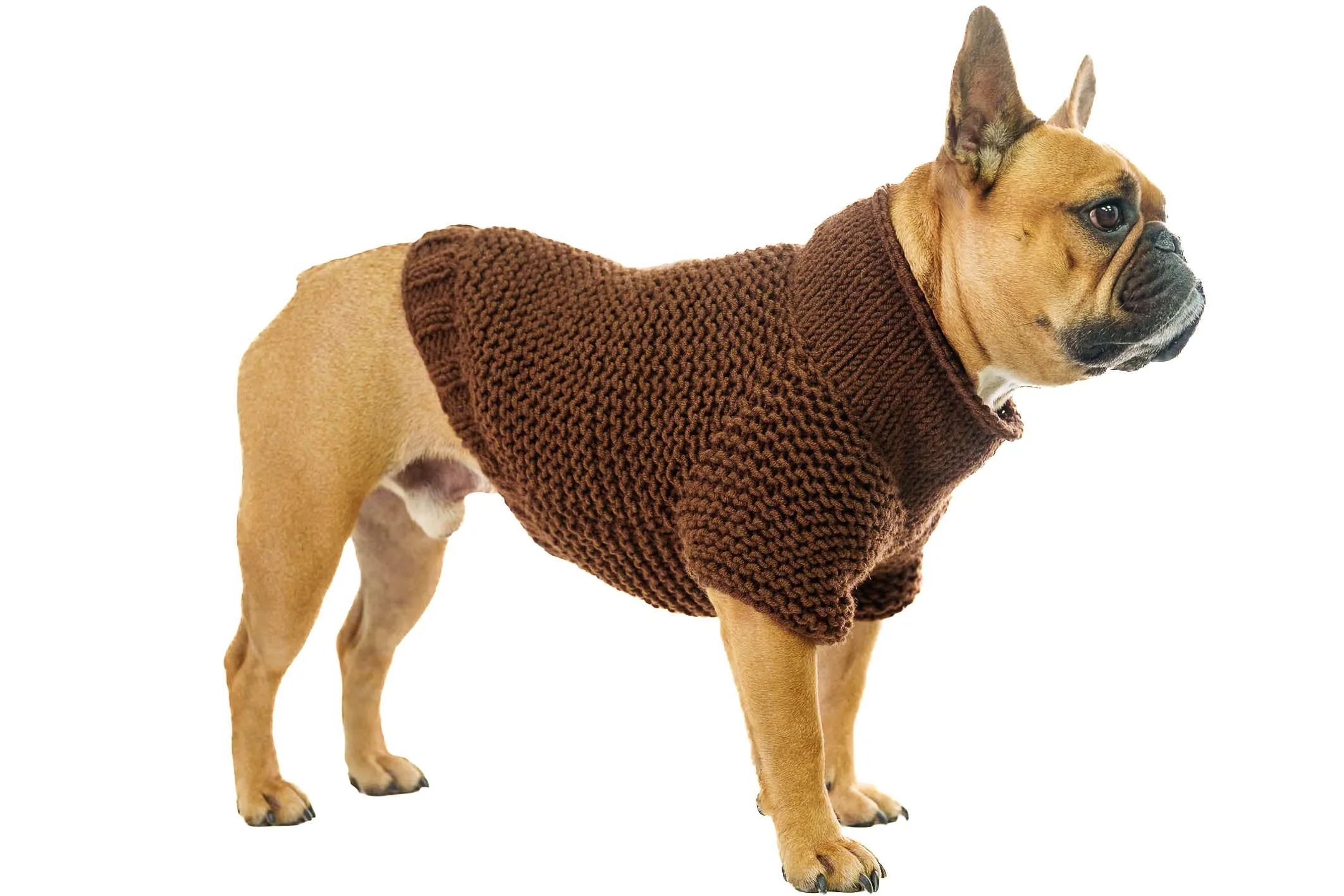 Pet Sweater